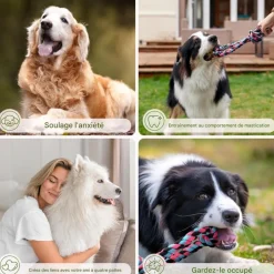 DOWNYPAWS - Jouets de tir à la corde