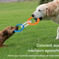 DOWNYPAWS - Jouets de tir à la corde