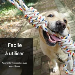 DOWNYPAWS - Jouets en corde, corde de 40 cm pour chiens de petite et moyenne taille, jouet durable à mâcher et nettoyant les dents