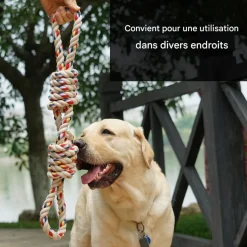 DOWNYPAWS - Jouets en corde, corde de 40 cm pour chiens de petite et moyenne taille, jouet durable à mâcher et nettoyant les dents
