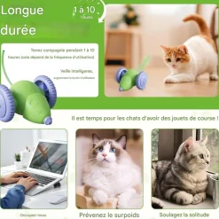DOWNYPAWS - Jouets pour chats-jouet automatique souris pour chat-souris verte