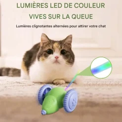 DOWNYPAWS - Jouets pour chats-jouet automatique souris pour chat-souris verte