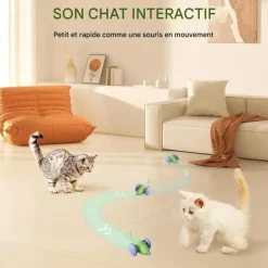 DOWNYPAWS - Jouets pour chats-jouet automatique souris pour chat-souris verte