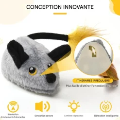 DOWNYPAWS - Jouets pour chats souris électrique-avec télécommande et câble de chargement usb