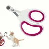 DOWNYPAWS - Kit professionnel de coupe des griffes en acier inoxydable pour chats et chiens