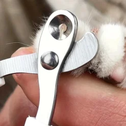 DOWNYPAWS - Kit professionnel de coupe des griffes en acier inoxydable pour chats et chiens