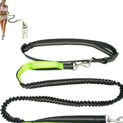 DOWNYPAWS - Laisse chien mains libres gris