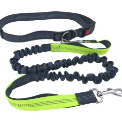 DOWNYPAWS - Laisse chien mains libres gris