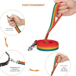 DOWNYPAWS - Laisse de dressage pour chien