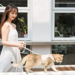 DOWNYPAWS - Laisse et harnais pour chat-l