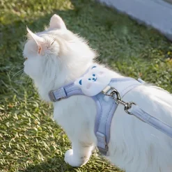 DOWNYPAWS - Laisse réglable pour chat - 1.2m, bleu