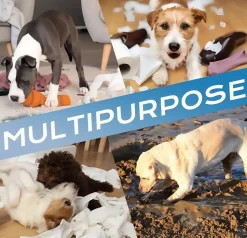 DOWNYPAWS - Lave - pieds électrique pour chiens et chats : gobelet d'outils de nettoyage et de toilettage pour animaux de compagnie