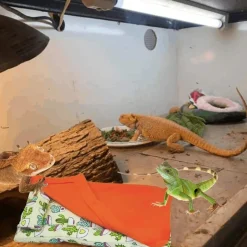 DOWNYPAWS - Lit - confortable, chaud, avec oreiller, couverture et housse en peluche