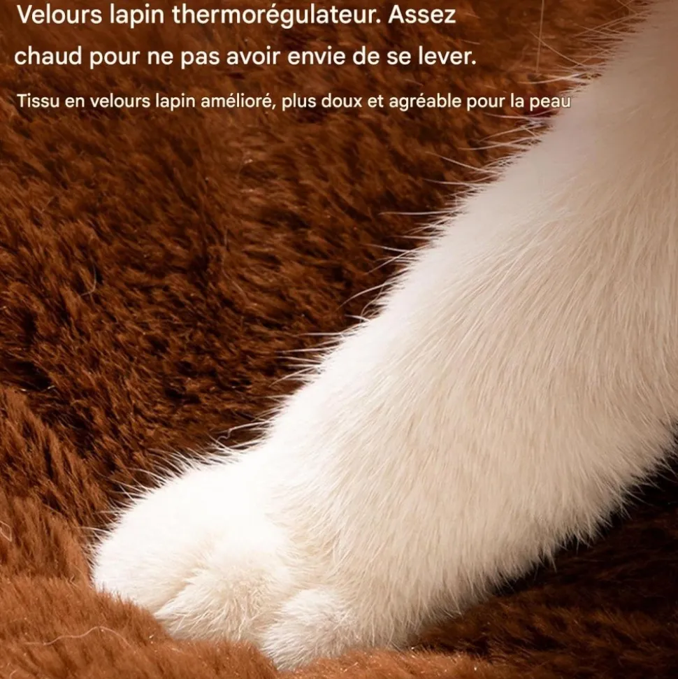 DOWNYPAWS - Lit pour chat forme de chat 55*55*32cm