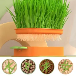 DOWNYPAWS - Lot de 2 herbe à chat pour herbe de chat hydroponique avec 10 poches en plastique, matériaux de qualité,