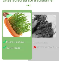 DOWNYPAWS - Lot de 2 herbe à chat pour herbe de chat hydroponique avec 10 poches en plastique, matériaux de qualité,