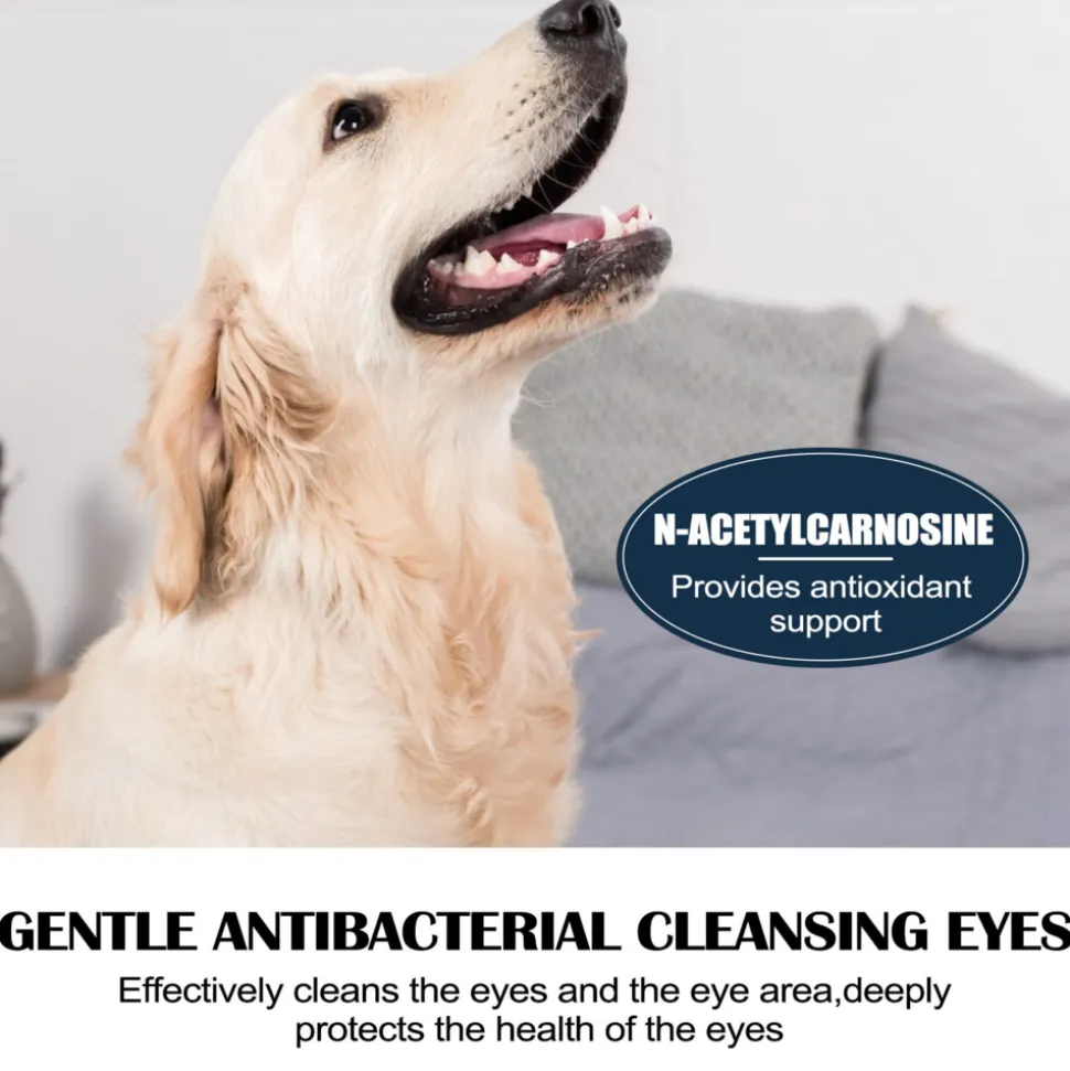 DOWNYPAWS - Lotion pour les yeux des animaux de compagnie, 10 ml