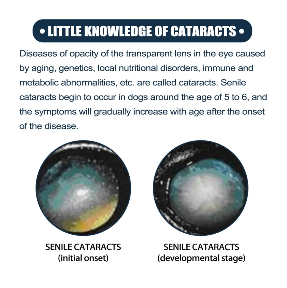 DOWNYPAWS - Lotion pour les yeux des animaux de compagnie, 10 ml