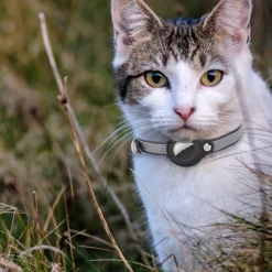 DOWNYPAWS - Modèles compatibles airta - collier anti-perte pour chat rose