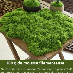 DOWNYPAWS - Mousse artificielle à grains fins pour gazon en pot 100 g vert clair