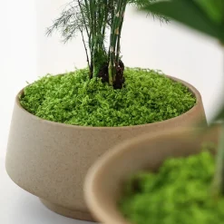 DOWNYPAWS - Mousse artificielle à grains fins pour gazon en pot 100 g vert clair