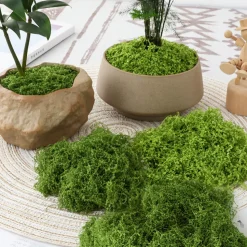 DOWNYPAWS - Mousse artificielle à grains fins pour gazon en pot 50 g vert foncé