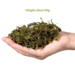 DOWNYPAWS - Mousse sèche naturelle de qualité supérieure 50g