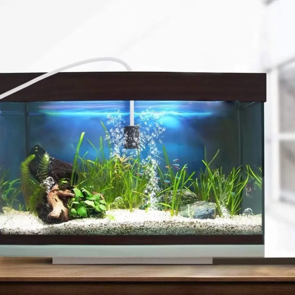 DOWNYPAWS - Oxygénez votre aquarium économiquement - usb