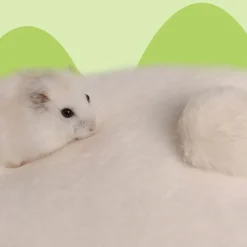 DOWNYPAWS - Panier - coussin doux pour lapins et écureuils