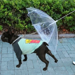 DOWNYPAWS - Parapluie transparent imperméable pour chien-diamètre du parapluie 70 cm