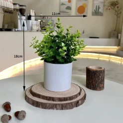 DOWNYPAWS - Plantes vertes artificielles en pot, gazon artificiel