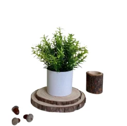 DOWNYPAWS - Plantes vertes artificielles en pot herbe de saule artificielle