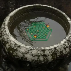 DOWNYPAWS - Plateau d'eau pour insectes - ruche avec bordure creuse flottant vert