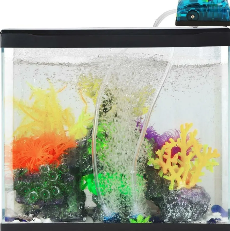 DOWNYPAWS - Pompe d'aération silencieuse et transparente pour aquarium