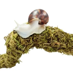 DOWNYPAWS - Poteau d'escalade en mousse 30 cm pour animaux de compagnie