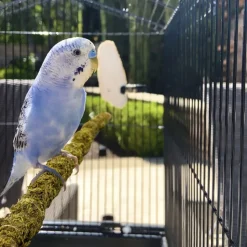 DOWNYPAWS - Poteau d'escalade en mousse 30 cm pour animaux de compagnie