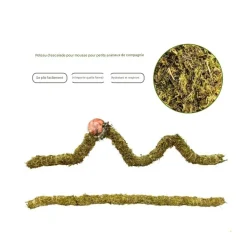 DOWNYPAWS - Poteau d'escalade en mousse 50 cm pour animaux de compagnie