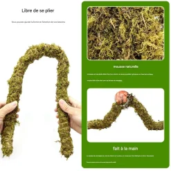 DOWNYPAWS - Poteau d'escalade en mousse 50 cm pour animaux de compagnie