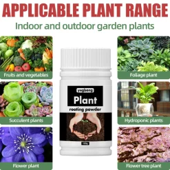 DOWNYPAWS - Poudre de germination et d'enracinement des plantes 100g