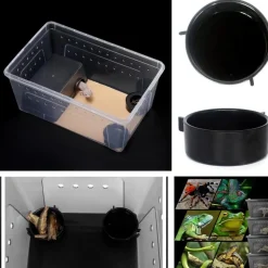 DOWNYPAWS - Récipient d'alimentation - accessoires pour aquarium de reptiles