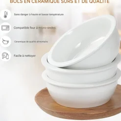 DOWNYPAWS - Réglablegamelle surélevée pour chat