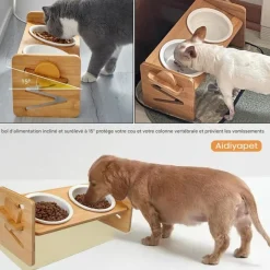 DOWNYPAWS - Réglablegamelle surélevée pour chat
