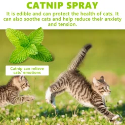 DOWNYPAWS - Spray à l'herbe à chat 100 ml