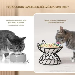 DOWNYPAWS - Support pour gamelles pour chat forme de tête de chat-16*13cm