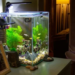 DOWNYPAWS - Thermomètre digital aquarium/terrarium