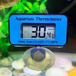 DOWNYPAWS - Thermomètre numérique aquarium - lecture facile lcd
