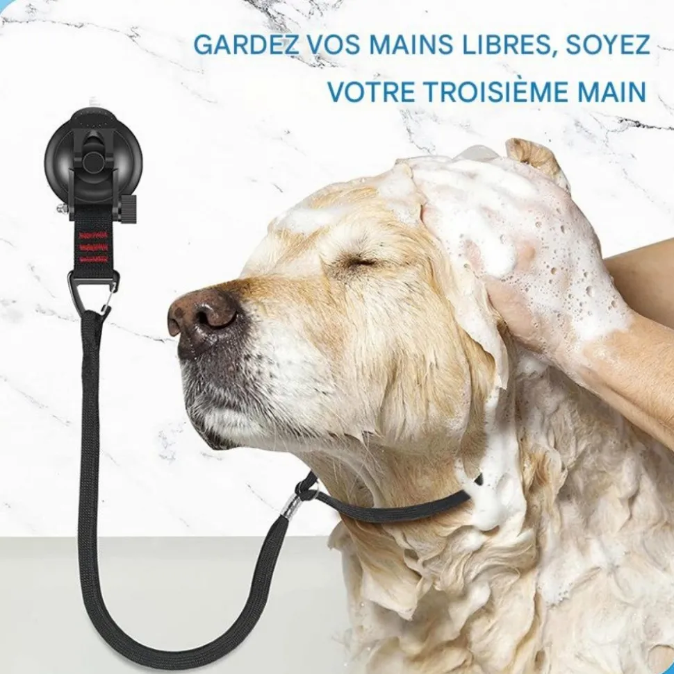 DOWNYPAWS - Ventouse pour corde de traction