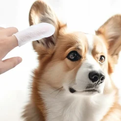 DTOPBUYAGE - 50 doigtiers de soin des oreilles pour animaux