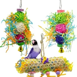 DTOPBUYAGE - 3 pcs jouets pour oiseaux dtopbuyage