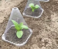 DTOPBUYAGE - 50 pièces de cloches pour plantes de jardin dtopbuyage